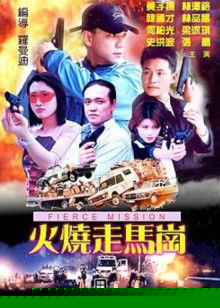 火烧走马岗
